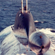 Illustration for article titled Russian Akula-Class Attack Submarines Patrolling US East Coast